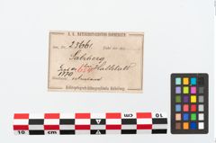 Etikett zu Bronzebuckelarmreif (NHMW-PRAE-025661)